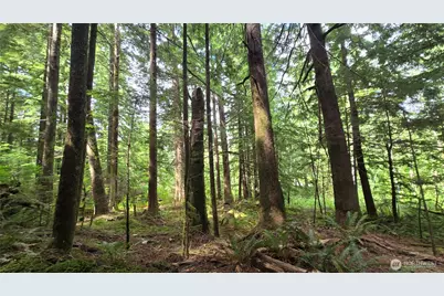 33317 SE Kent Kangley Road, Ravensdale, WA 98051 - Photo 7