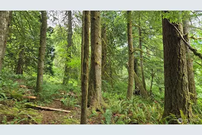 33317 SE Kent Kangley Road, Ravensdale, WA 98051 - Photo 3