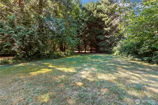 9821 344th St S, Roy, WA 98580 - Photo 29