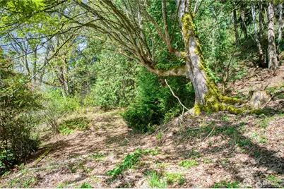 0 E Lake Sammamish Parkway NE, Sammamish, WA 98074 - Photo 9
