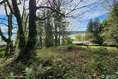 0 E Lake Sammamish Parkway NE, Sammamish, WA 98074 - Photo 3