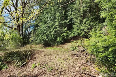 0 E Lake Sammamish Parkway NE, Sammamish, WA 98074 - Photo 13