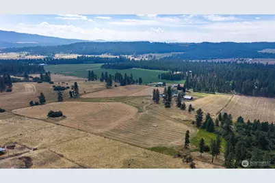8511 E Hamilton Road, Chattaroy, WA 99003 - Photo 7