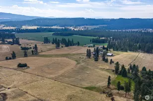 8511 E Hamilton Rd, Chattaroy, WA 99003 - Photo 7