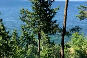392 Buck Loop Rd, Sequim, WA 98382 - Photo 33
