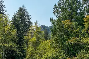 17727 Cedar Falls Rd SE, North Bend, WA 98045 - Photo 35