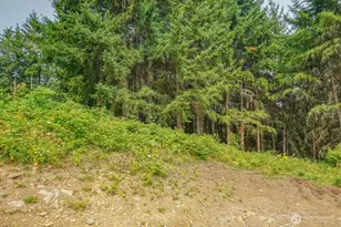 324 Champion Rd, Kalama, WA 98625 - Photo 39