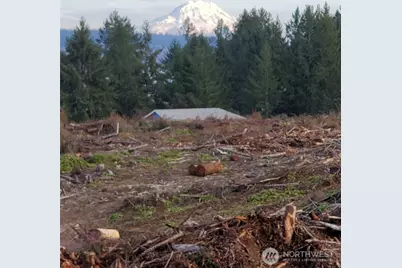 0 E Case View Way, Shelton, WA 98584 - Photo 3
