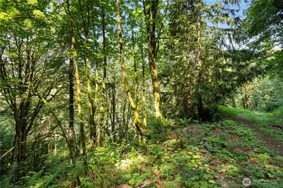 15124 State Route 530 NE, Arlington, WA 98223 - Photo 25