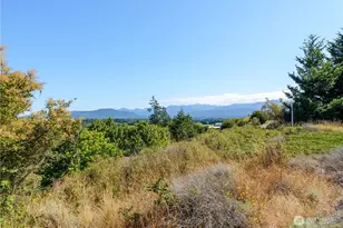 150 Sundial Loop, Sequim, WA 98382 - Photo 37