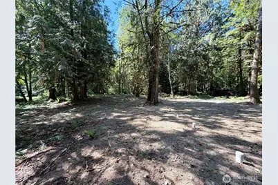 0 Lot 2 E Emily Lane, Shelton, WA 99584 - Photo 7