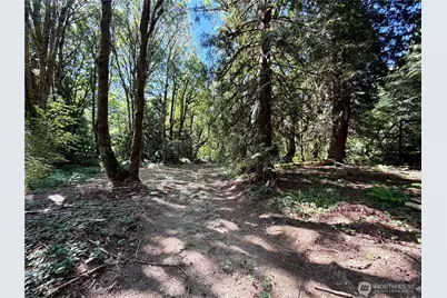 0 Lot 2 E Emily Lane, Shelton, WA 99584 - Photo 5