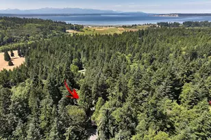 7391 Tauscher Rd, Clinton, WA 98236 - Photo 39