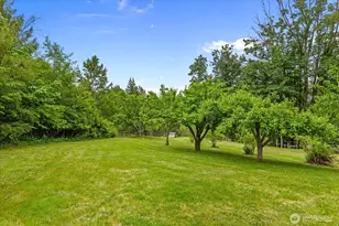 27346 Lake Cavanaugh Rd, Mount Vernon, WA 98274 - Photo 31