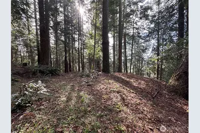 3692 E State Route 106, Union, WA 98592 - Photo 25