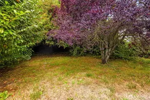 1024 S Director St, Seattle, WA 98108 - Photo 33