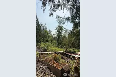 18820 220th Avenue SE, Maple Valley, WA 98038 - Photo 27
