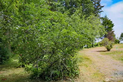 3984 NE Twin Spits Road, Hansville, WA 98340 - Photo 9