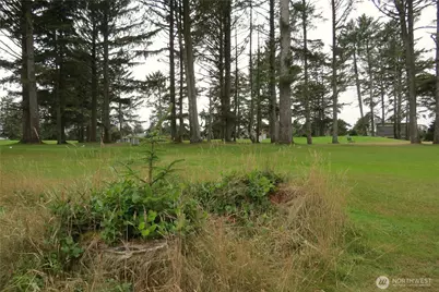 237 Dolphin Avenue NE, Ocean Shores, WA 98569 - Photo 27