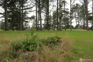 237 Dolphin Ave NE, Ocean Shores, WA 98569 - Photo 27