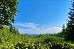 22709 NE 123rd Cir, Brush Prairie, WA 98606 - Photo 25