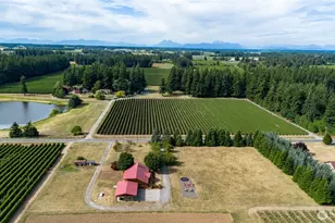 1231 Willeys Lake Rd, Ferndale, WA 98248 - Photo 37