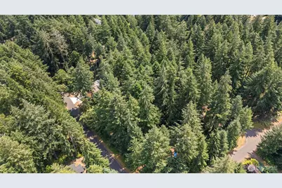 10512 Matthew, Anderson Island, WA 98303 - Photo 9