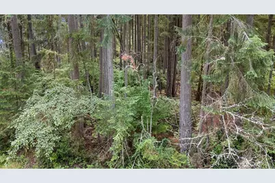 10512 Matthew, Anderson Island, WA 98303 - Photo 13