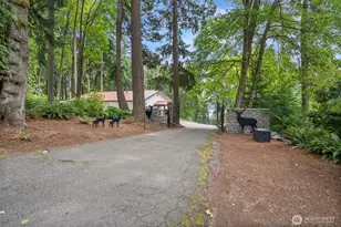 9208 128th St Ct NW, Gig Harbor, WA 98329 - Photo 39