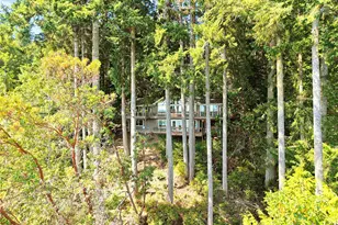 510 Johnson Rd, Quilcene, WA 98376 - Photo 39