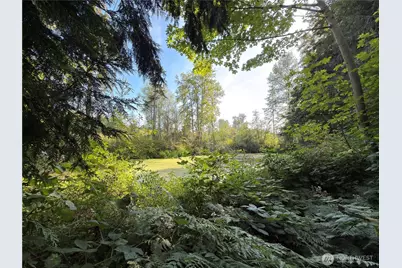 73 N Boyce Road, Sequim, WA 98382 - Photo 39