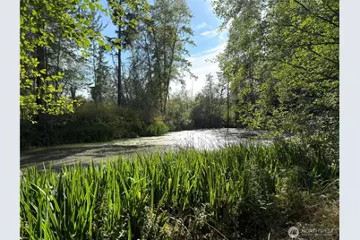 73 N Boyce Road, Sequim, WA 98382 - Photo 33