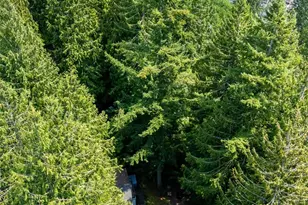 19059 Glacier Rim Dr, Glacier, WA 98244 - Photo 5