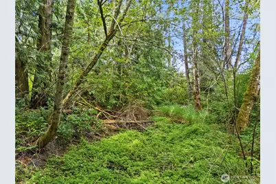 0 Rouse Road SW, Longbranch, WA 98351 - Photo 17