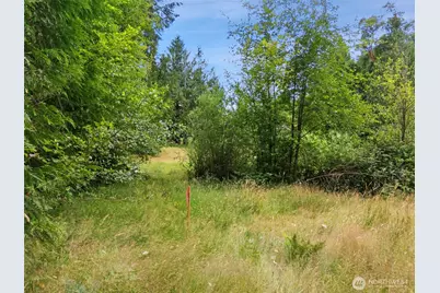 0 Rouse Road SW, Longbranch, WA 98351 - Photo 13