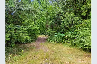0 Rouse Road SW, Longbranch, WA 98351 - Photo 9