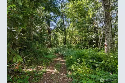 0 Rouse Road SW, Longbranch, WA 98351 - Photo 5