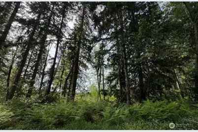 11106 Spruce Dr, Anderson Island, WA 98303 - Photo 1