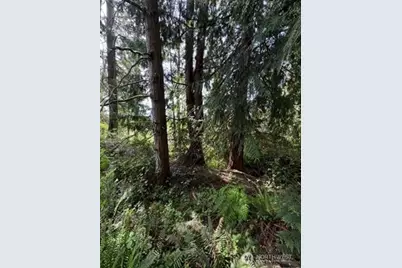 11106 Spruce Dr, Anderson Island, WA 98303 - Photo 3