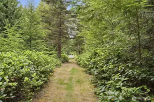 114 Headwaters Ln, Port Angeles, WA 98362 - Photo 39