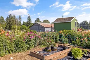 816 304th St S, Roy, WA 98580 - Photo 37
