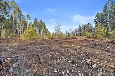 30201 S Creek Road E, Graham, WA 98338 - Photo 35