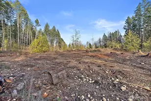 30201 S Creek Rd E, Graham, WA 98338 - Photo 35