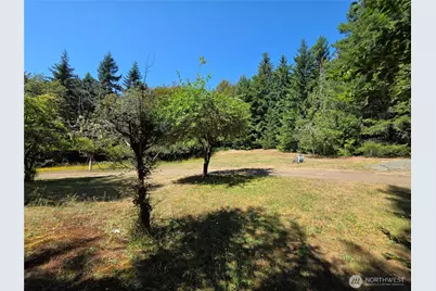 371 Green Mt Lane, Brinnon, WA 98320 - Photo 13
