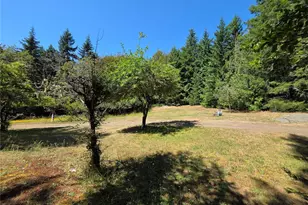 371 Green Mt Ln, Brinnon, WA 98320 - Photo 13