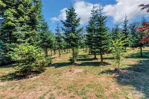 15901 106 St E, Puyallup, WA 98374 - Photo 23