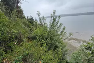 1284 Dines Point Rd, Greenbank, WA 98523 - Photo 39