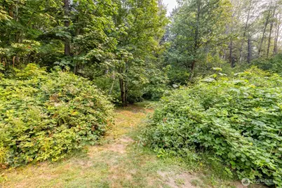 59741 Rockport Cascade Road, Marblemount, WA 98267 - Photo 35