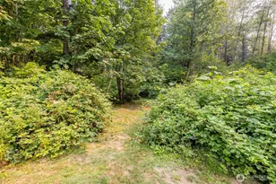 59741 Rockport Cascade Rd, Marblemount, WA 98267 - Photo 35