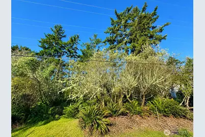 375 Dolphin Avenue NE, Ocean Shores, WA 98569 - Photo 1